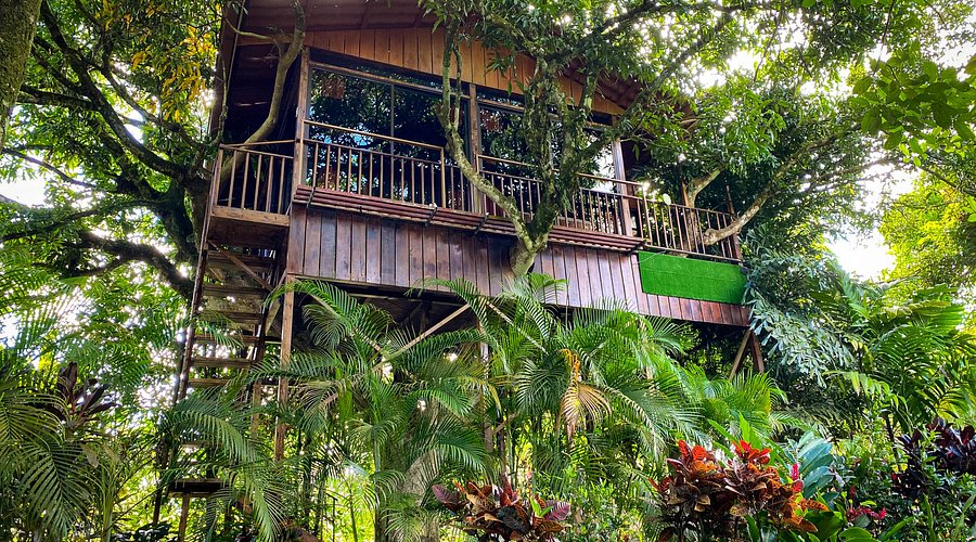 Heliconias Nature Inn